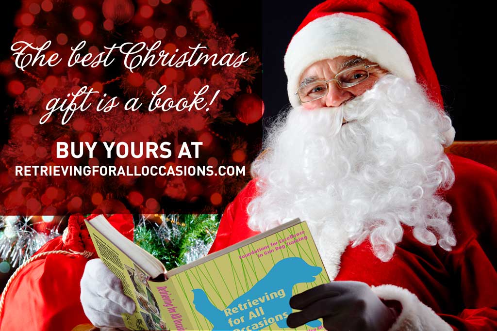 The best Christmas gift is a book!